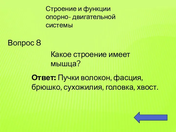 Строение и функции опорно- двигательной системы Вопрос 8 Какое строение имеет мышца? Ответ: