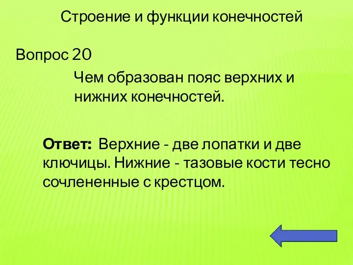 Вопрос 20 Строение и функции конечностей Чем образован пояс верхних