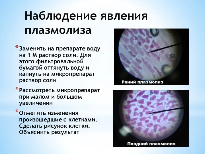 Наблюдение явления плазмолиза Заменить на препарате воду на 1 М раствор соли. Для