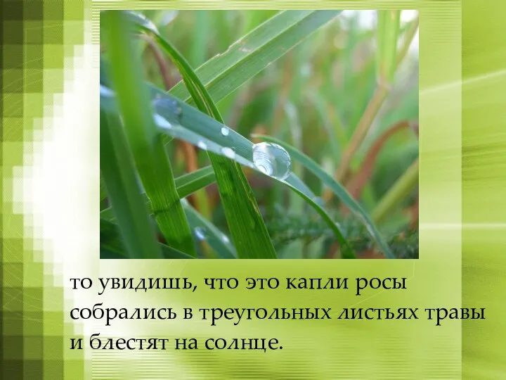 то увидишь, что это капли росы собрались в треугольных листьях травы и блестят на солнце.