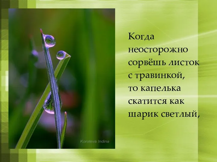 Когда неосторожно сорвёшь листок с травинкой, то капелька скатится как шарик светлый,