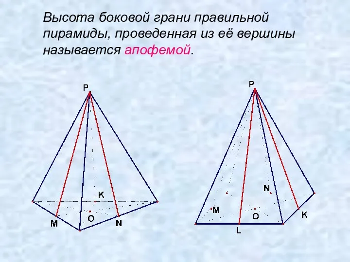 Высота боковой грани правильной пирамиды, проведенная из её вершины называется апофемой.