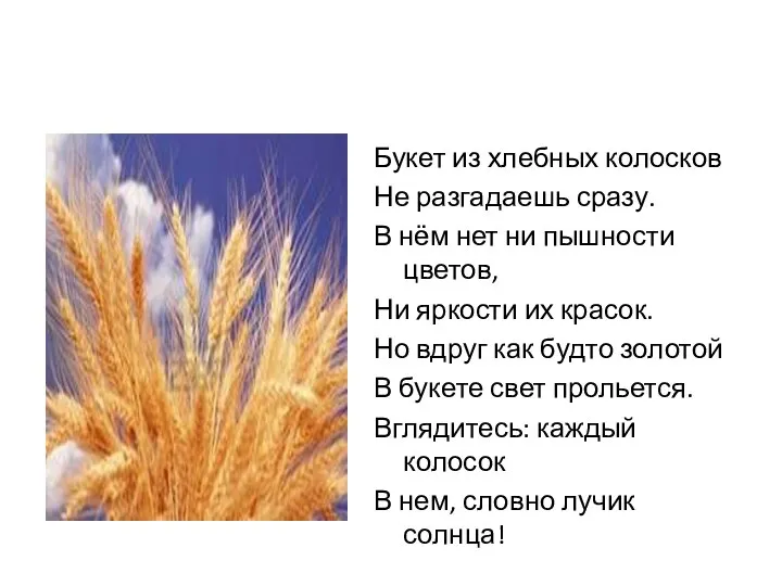 Букет из хлебных колосков Не разгадаешь сразу. В нём нет