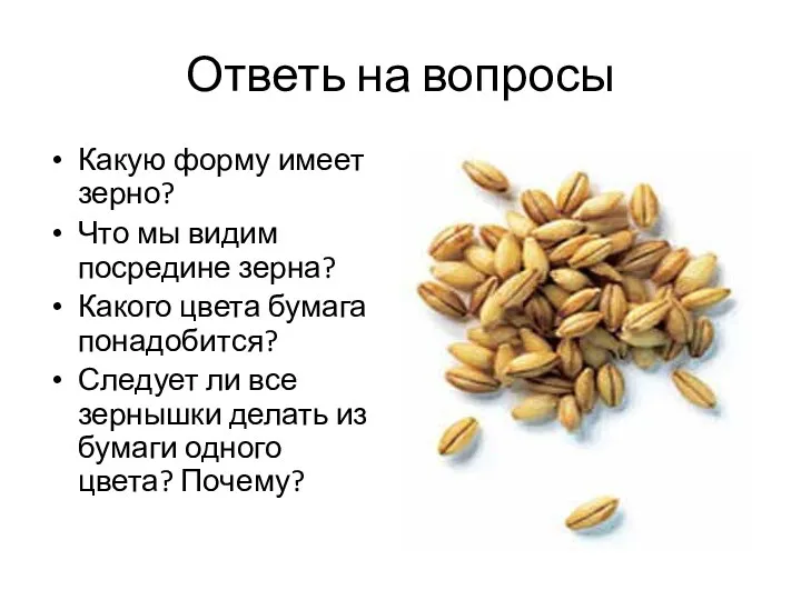 Ответь на вопросы Какую форму имеет зерно? Что мы видим посредине зерна? Какого