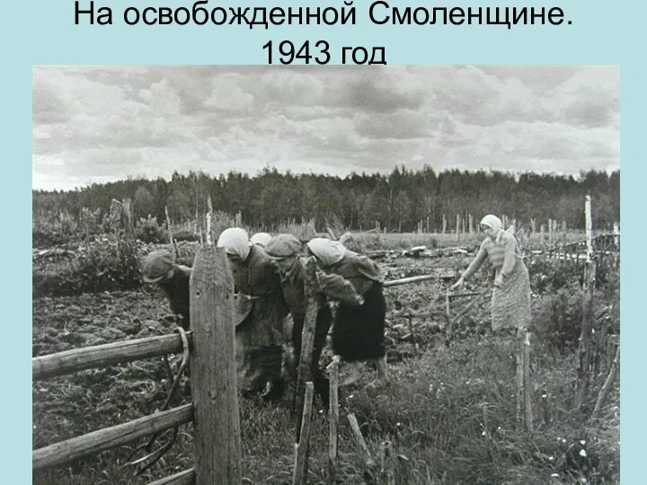 На освобожденной Смоленщине. 1943 год