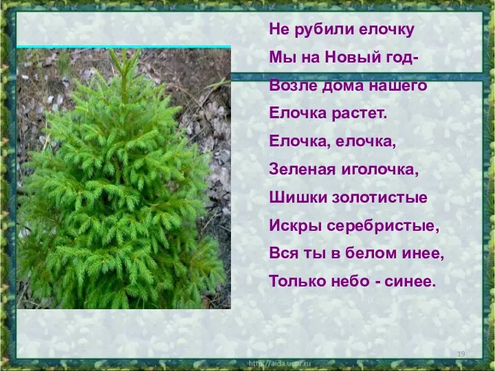 Не рубили елочку Мы на Новый год- Возле дома нашего Елочка растет. Елочка,