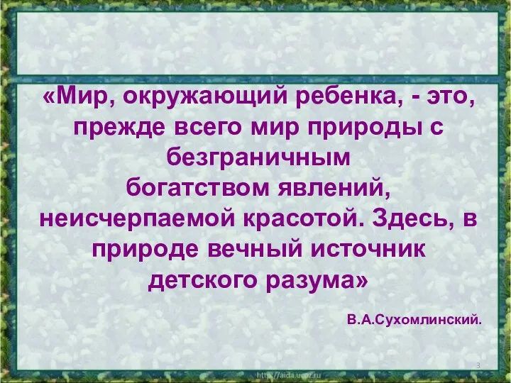 «Мир, окружающий ребенка, - это, прежде всего мир природы с безграничным богатством явлений,