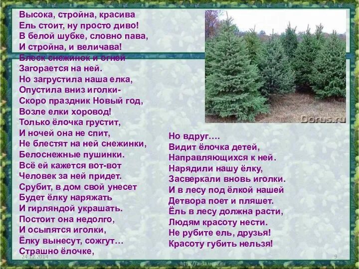 Высока, стройна, красива Ель стоит, ну просто диво! В белой шубке, словно пава,