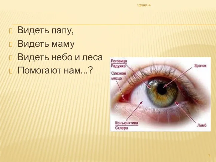 Видеть папу, Видеть маму Видеть небо и леса Помогают нам…? группа 4