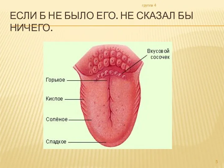 Если б не было его. Не сказал бы ничего. группа 4