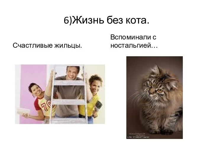6)Жизнь без кота. Счастливые жильцы. Вспоминали с ностальгией…