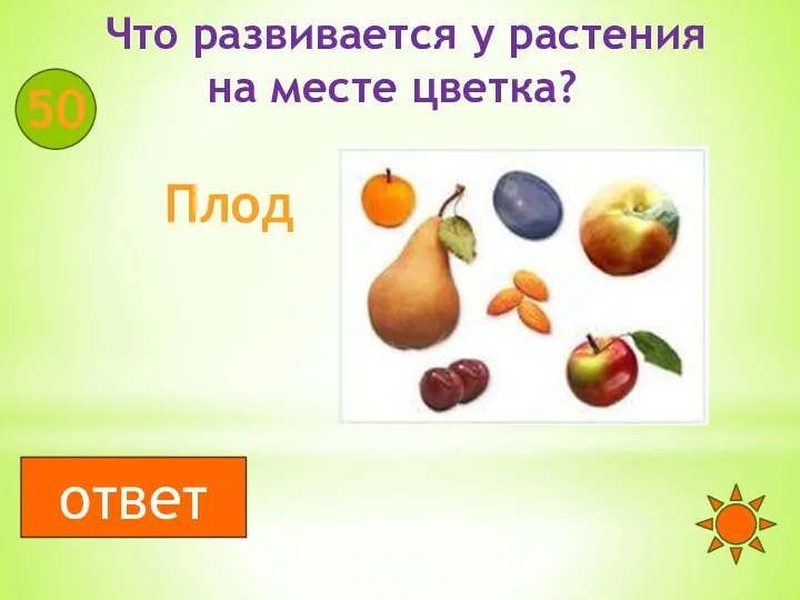 Что развивается у растения на месте цветка? 50 Плод ответ