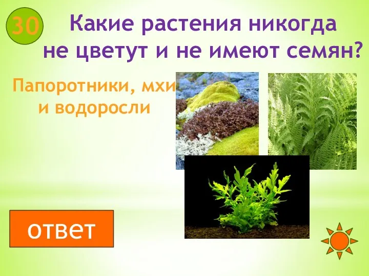 Какие растения никогда не цветут и не имеют семян? 30 Папоротники, мхи и водоросли ответ