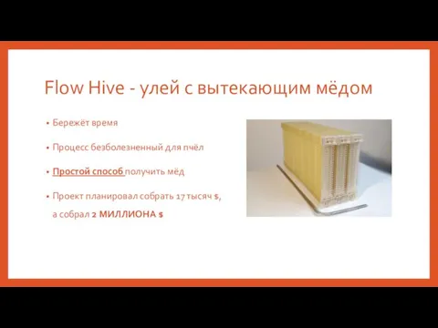 Flow Hive - улей с вытекающим мёдом Бережёт время Процесс безболезненный для пчёл