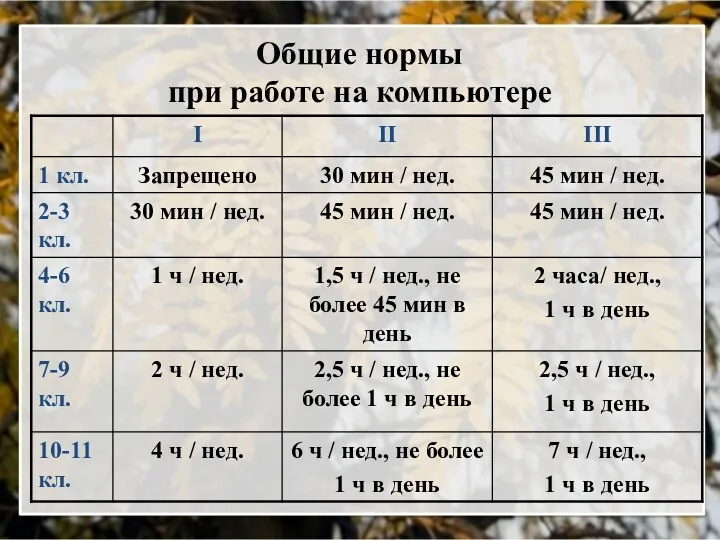 Общие нормы при работе на компьютере