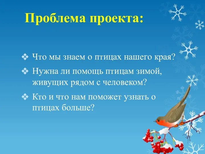 Проблема проекта: Что мы знаем о птицах нашего края? Нужна ли помощь птицам