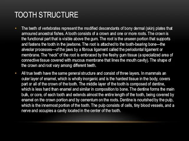 TOOTH STRUCTURE The teeth of vertebrates represent the modified descendants