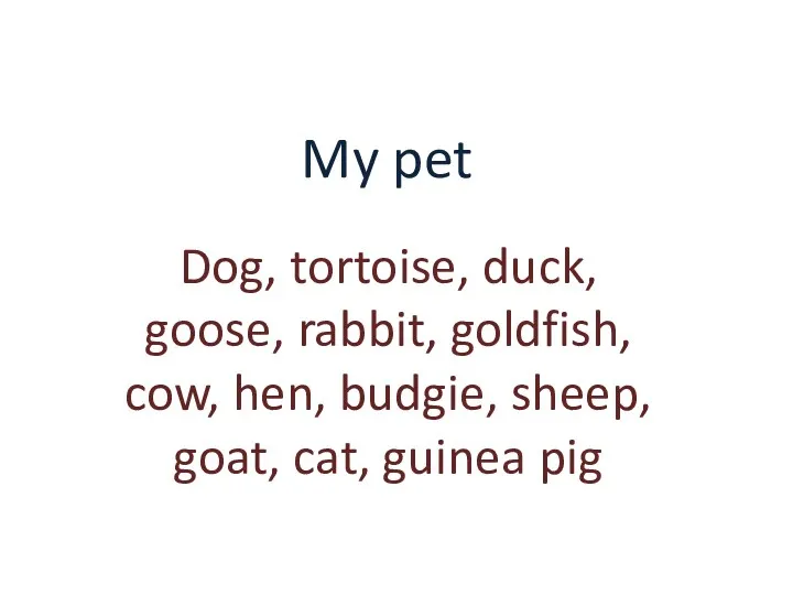 My pet Dog, tortoise, duck, goose, rabbit, goldfish, cow, hen, budgie, sheep, goat, cat, guinea pig