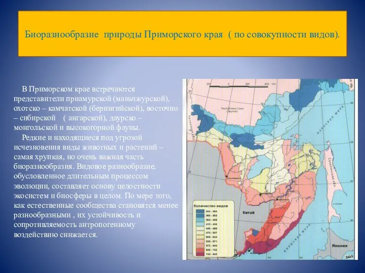 Биоразнообразие природы Приморского края ( по совокупности видов). В Приморском