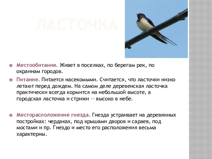 ЛАСТОЧКА Местообитания. Живет в поселках, по берегам рек, по окраинам городов. Питание. Питается