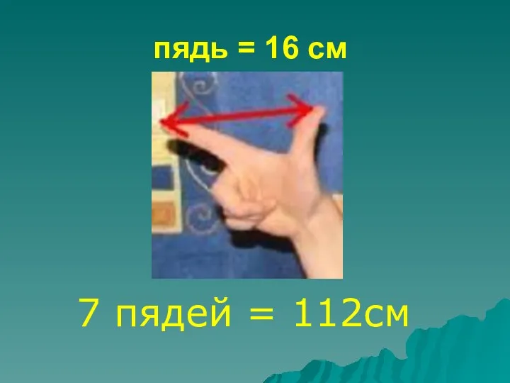 пядь = 16 см 7 пядей = 112см