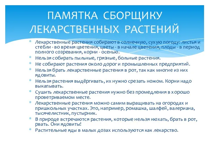 Лекарственные растения собирают в солнечную, сухую погоду: листья и стебли