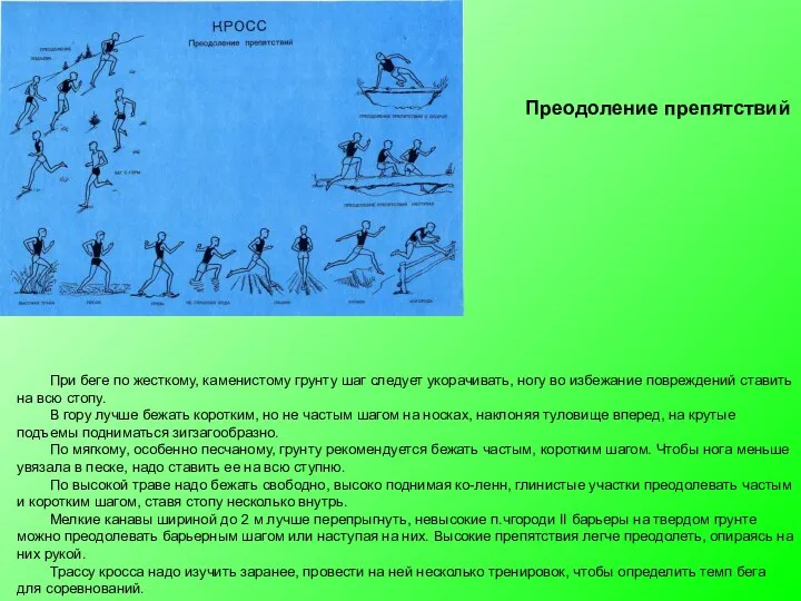 При беге по жесткому, каменистому грунту шаг следует укора­чивать, ногу