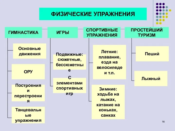 ФИЗИЧЕСКИЕ УПРАЖНЕНИЯ ГИМНАСТИКА ИГРЫ СПОРТИВНЫЕ УПРАЖНЕНИЯ ПРОСТЕЙШИЙ ТУРИЗМ Основные движения ОРУ Построения и