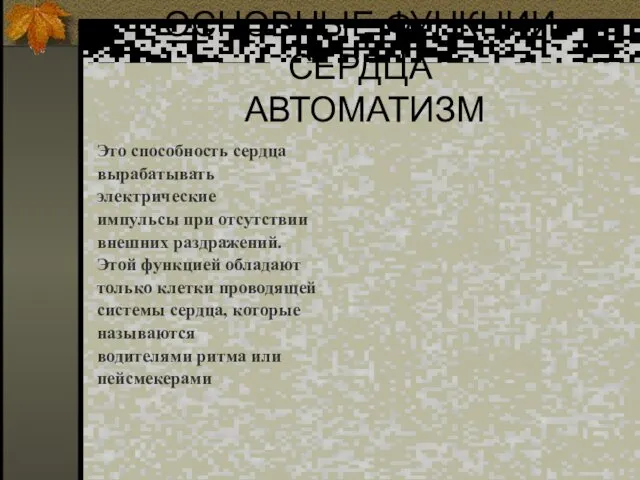 ОСНОВНЫЕ ФУНКЦИИ СЕРДЦА АВТОМАТИЗМ Это способность сердца вырабатывать электрические импульсы