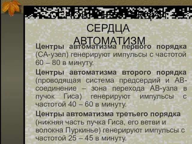 ОСНОВНЫЕ ФУНКЦИИ СЕРДЦА АВТОМАТИЗМ Центры автоматизма первого порядка (СА-узел) генерируют