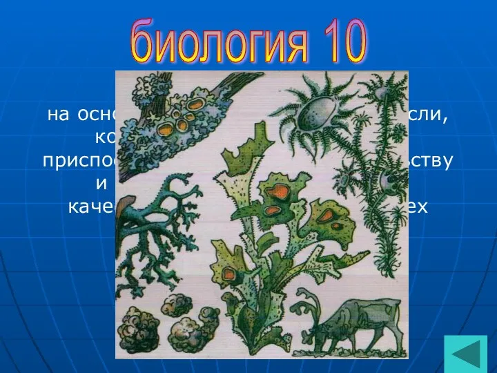 биология 10 Это сложный организм на основе симбиоза гриба и