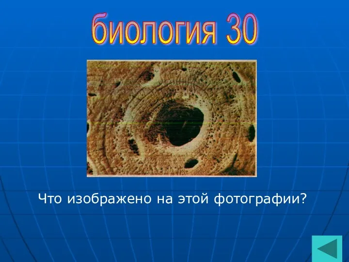 биология 30 Что изображено на этой фотографии?