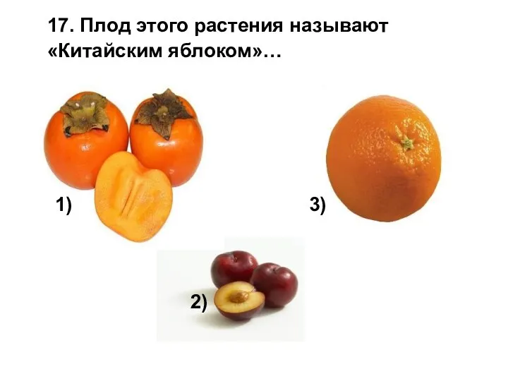17. Плод этого растения называют «Китайским яблоком»… 1) 2) 3)