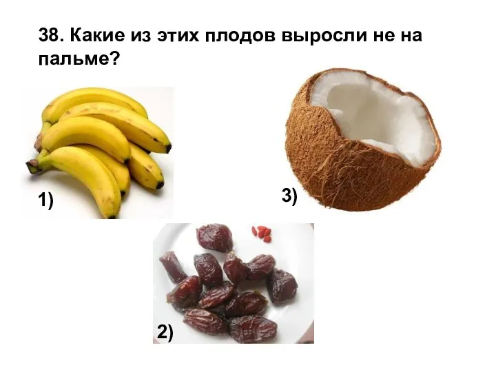 38. Какие из этих плодов выросли не на пальме? 1) 2) 3)