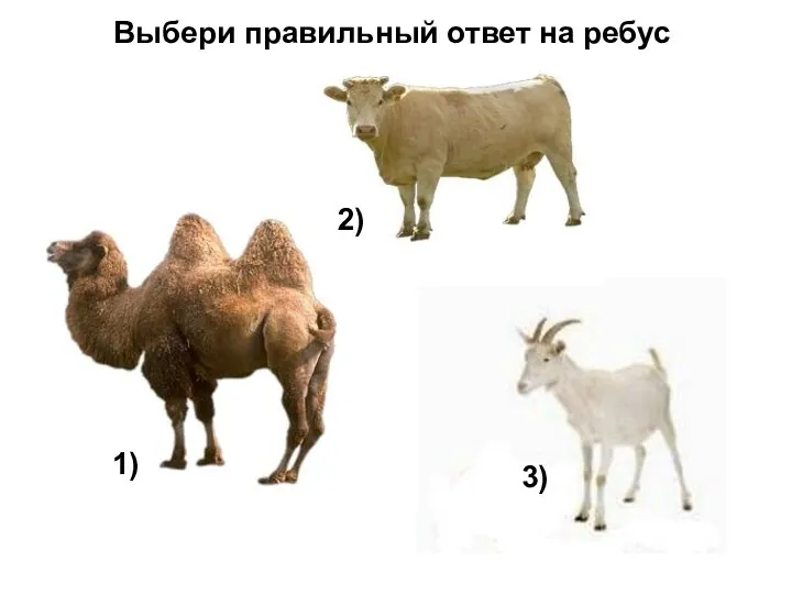Выбери правильный ответ на ребус 1) 2) 3)