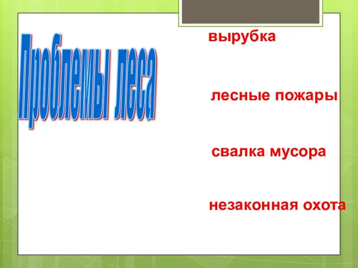 Проблемы леса вырубка незаконная охота свалка мусора лесные пожары