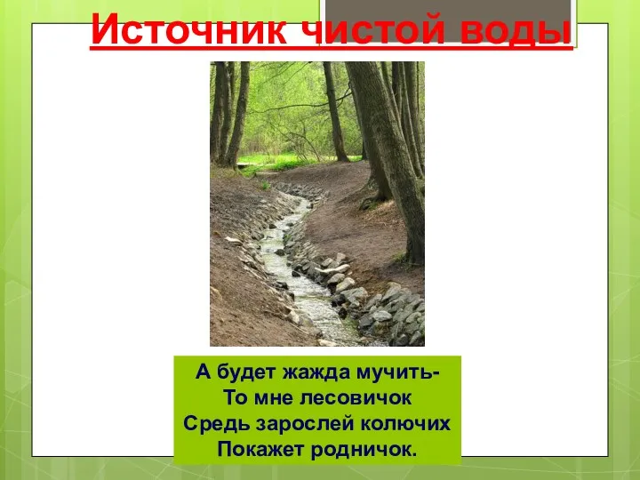 Источник чистой воды А будет жажда мучить- То мне лесовичок Средь зарослей колючих Покажет родничок.