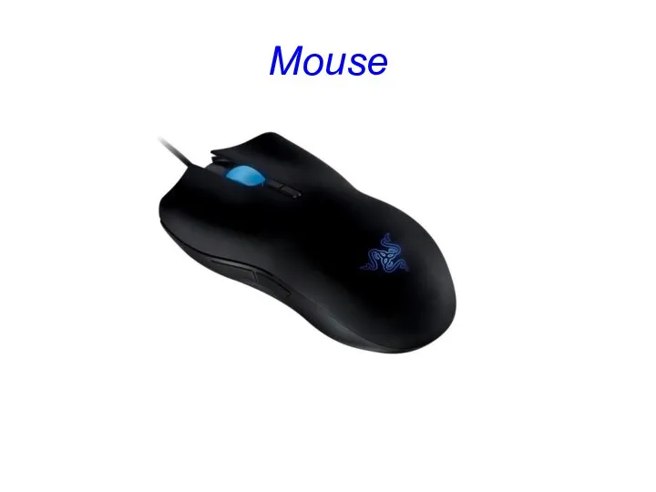 Mouse