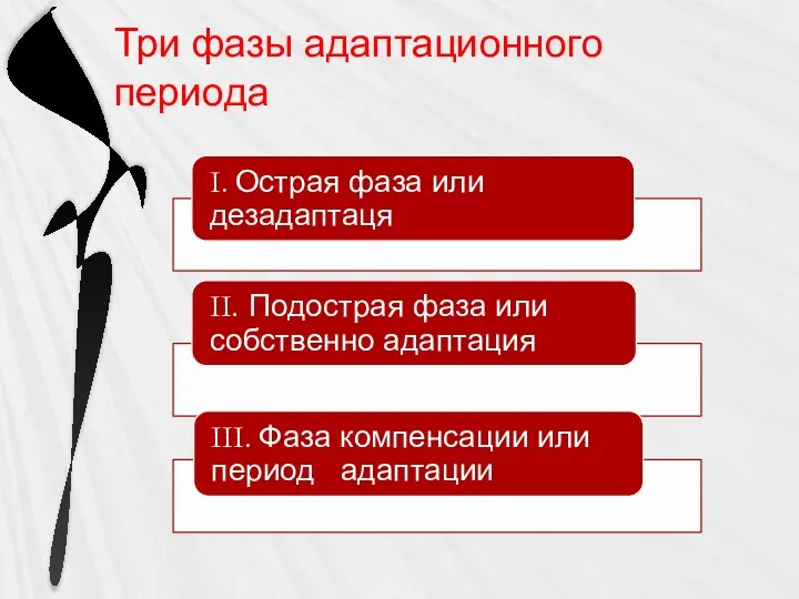 Три фазы адаптационного периода