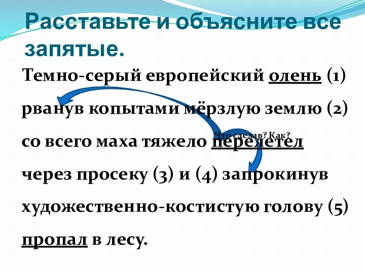 Расставьте и объясните все запятые. Темно-серый европейский олень (1) рванув