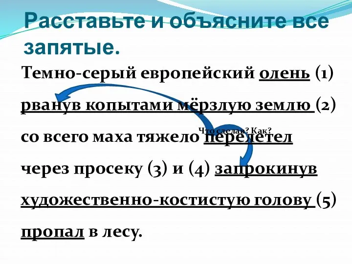 Расставьте и объясните все запятые. Темно-серый европейский олень (1) рванув