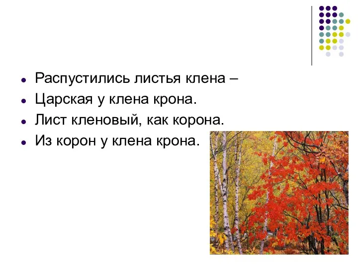 Распустились листья клена – Царская у клена крона. Лист кленовый, как корона. Из