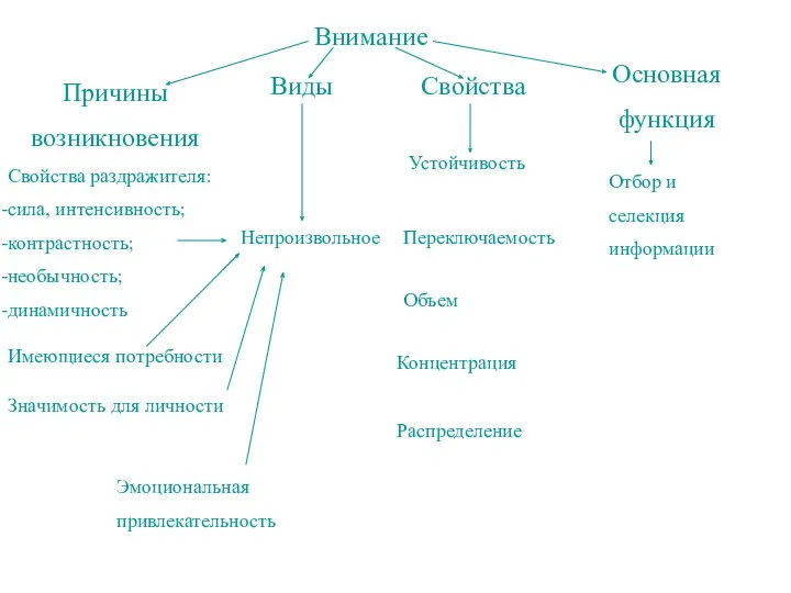 Внимание Причины возникновения Виды Свойства Основная функция Свойства раздражителя: сила,