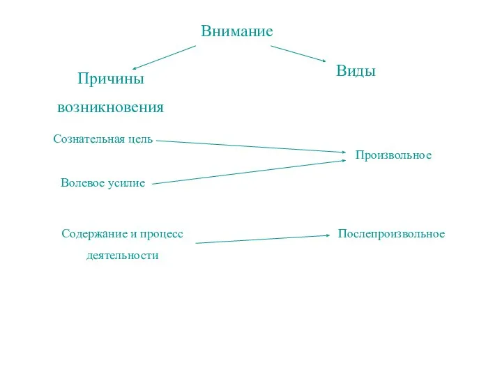 Внимание Причины возникновения Виды Сознательная цель Волевое усилие Содержание и процесс деятельности Произвольное Послепроизвольное