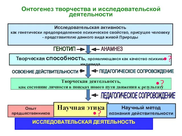 Онтогенез творчества и исследовательской деятельности Научная этика Исследовательская активность как