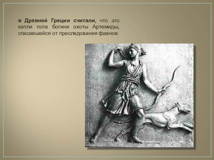 в Древней Греции считали, что это капли пота богини охоты Артемиды, спасавшейся от преследования фавнов