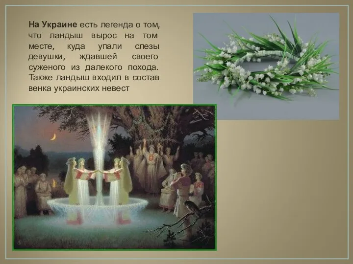 На Украине есть легенда о том, что ландыш вырос на том месте, куда