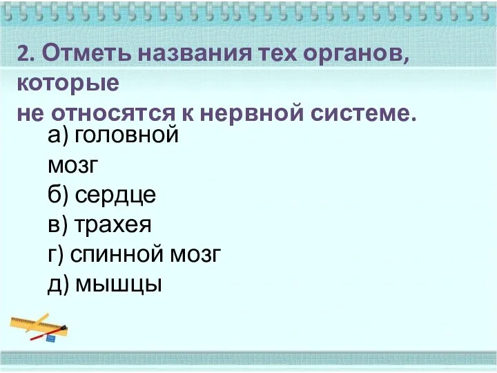 2. Отметь названия тех органов, которые не относятся к нервной