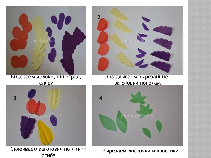 1 2 3 4 Вырезаем яблоко, виноград, сливу Складываем вырезанные