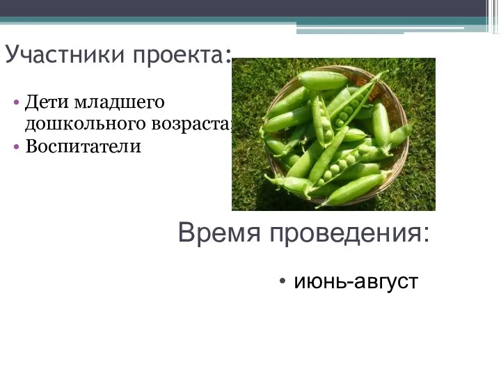 Участники проекта: Дети младшего дошкольного возраста; Воспитатели Время проведения: июнь-август